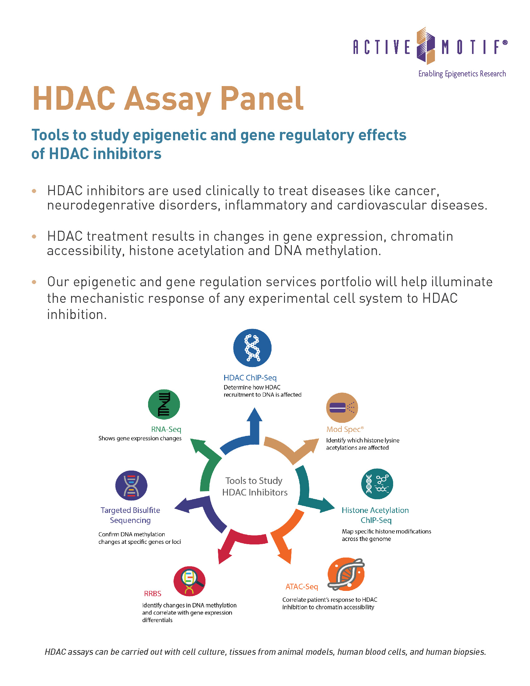 HDAC Assay Panel