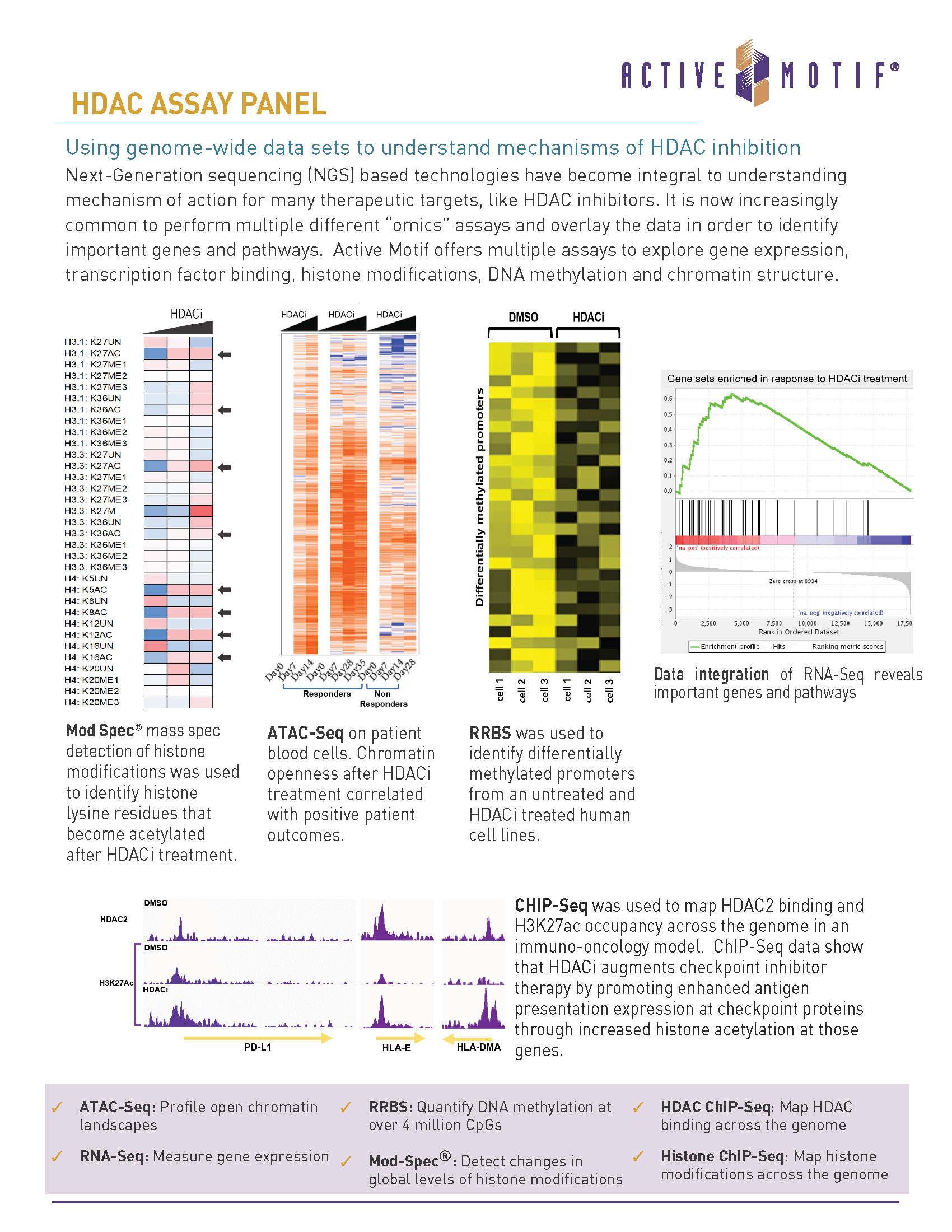 HDAC Assay Panel