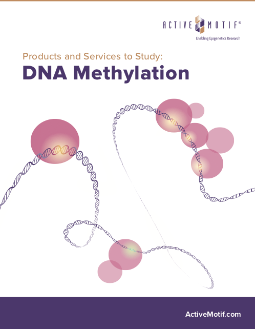 DNA Methylation