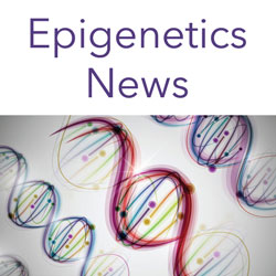 Epigenetics News Signup Form