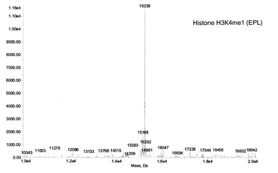 ESI-TOF mass spectrometry of Recominant Histone H3K4me1 (EPL)