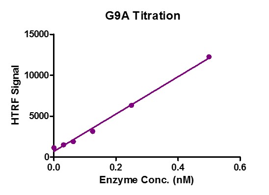 Recombinant EHMT2 (G9a) protein
