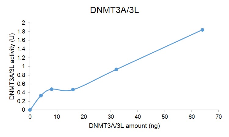 DNMT3A / DNMT3L complex DNMT assay