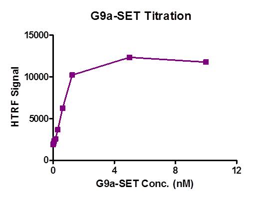 Recombinant EHMT2 (G9A)-SET (913-1193) protein activity assay