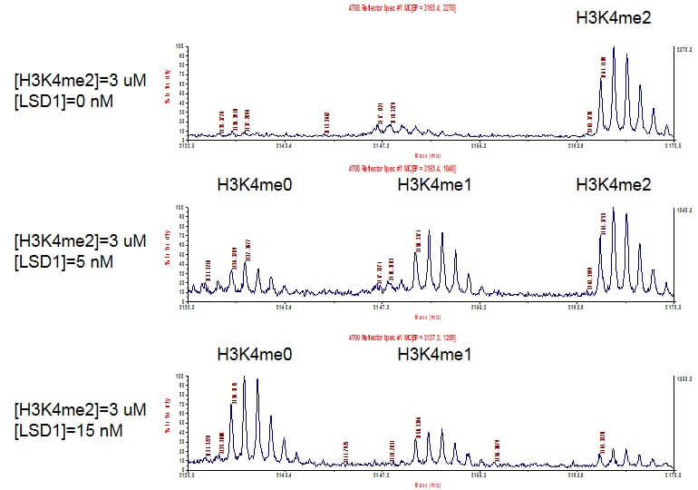 MALDI-TOF Assay for Recombinant LSD1 / KDM1A protein activity. 