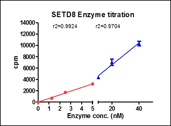 SETD8 protein HMT activity assay