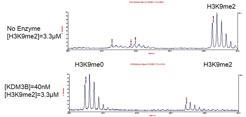 JMJD1B / KDM3B activity assay
