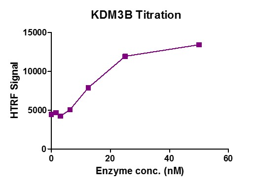 JMJD1B / KDM3B activity assay