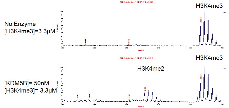 JARID1B / KDM5B activity assay
