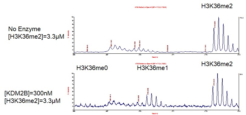 FBXL10 / KDM2B activity assay