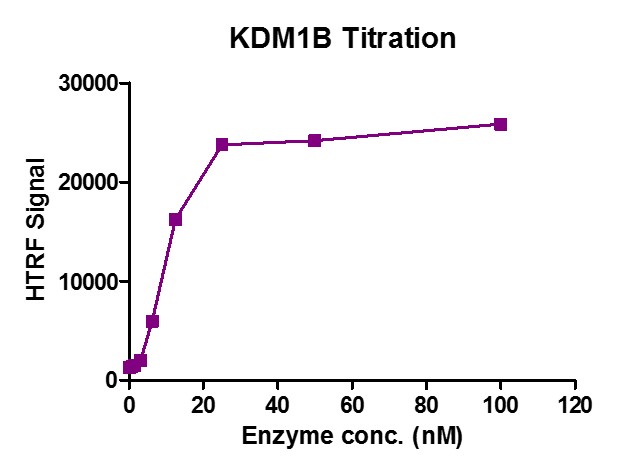 KDM1B / LSD2 activity assay