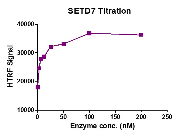 SETD7 protein HTRF activity assay