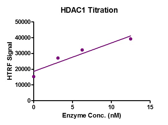 Recombinant HDAC1 protein activity assay