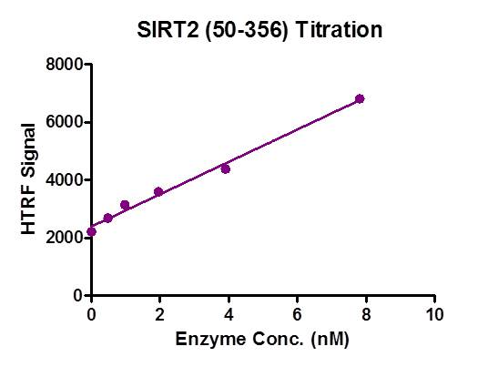 HTRF assay for SIRT2 (50-356) activity