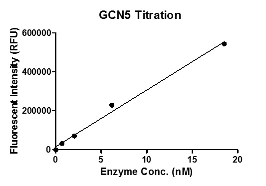 Recombinant KAT2A (GCN5) protein activity assay.