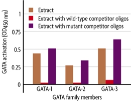 Figure 1: Monitoring GATA family member activation using the TransAM GATA Family Kit.