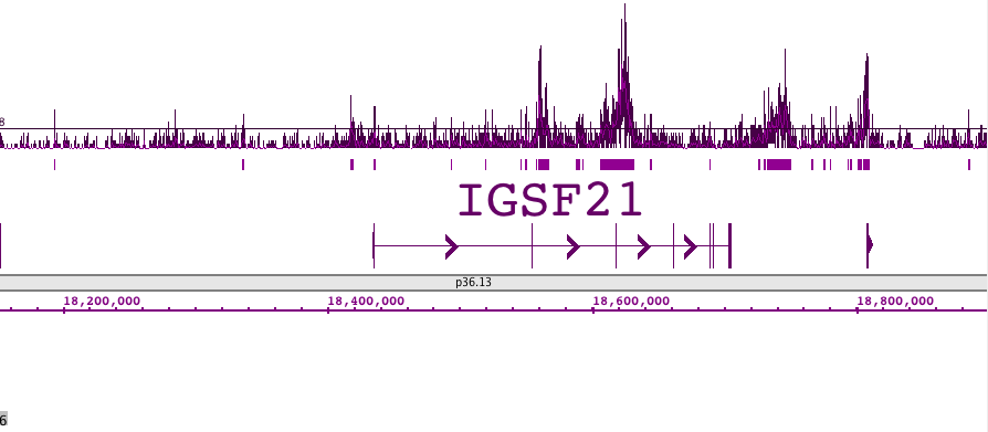 Histone H2BK120ac antibody (pAb) tested by ChIP-Seq.