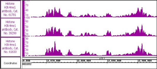 Histone H3K4me1 antibody (pAb) tested by ChIP-Seq