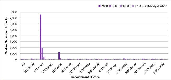 Histone H3K4me1 antibody (pAb) tested by Luminex bead-based specificity analysis.