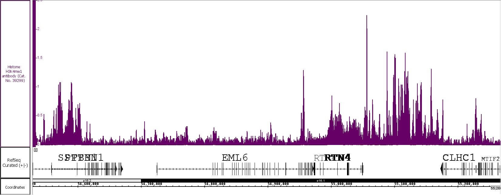 Histone H3K4me1 antibody (pAb) tested by TIP-ChIP.