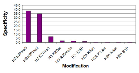 Histone H3 di/trimethyl Lys27 antibody (mAb) specificity tested by peptide array analysis.