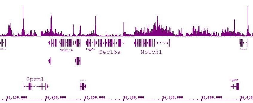 Histone H4K5ac antibody (pAb) tested by ChIP-Seq.