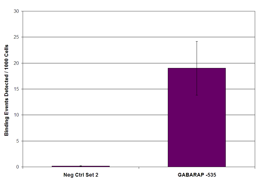 MITF antibody (mAb) tested by ChIP-Seq.