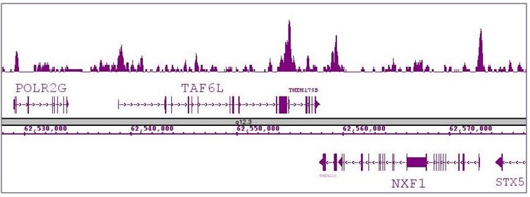 Oct-4 antibody (pAb) tested by ChIP-Seq.