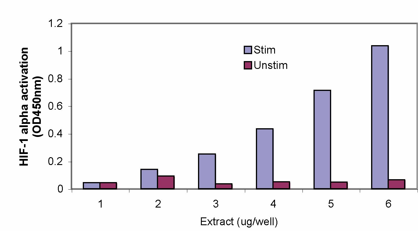 Figure 1: Measurement of HIF-1α.