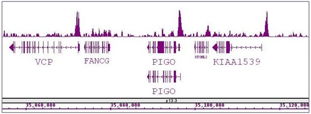 BRD8 / SMAP2 antibody (pAb) tested by ChIP-Seq.