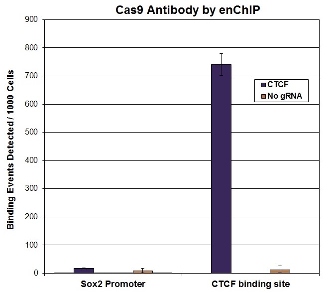 Cas9 antibody (mAb) tested by enChIP.