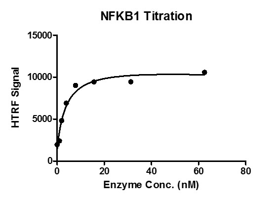 HTRF assay for NFKB1 / p50 (1-434) activity.