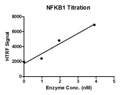 HTRF assay for NFKB1 / p50 (1-434) activity.
