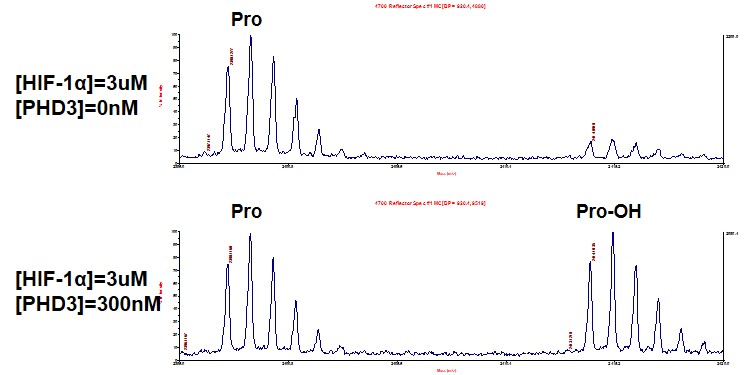 MALDI-TOF Assay for Recombinant PHD3 / EGLN3 protein