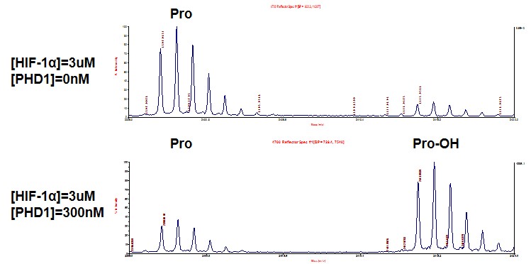 MALDI-TOF for Recombinant PHD1 / EGLN2 protein