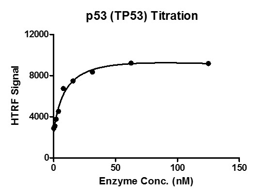 HTRF assay for p53 (TP53) activity