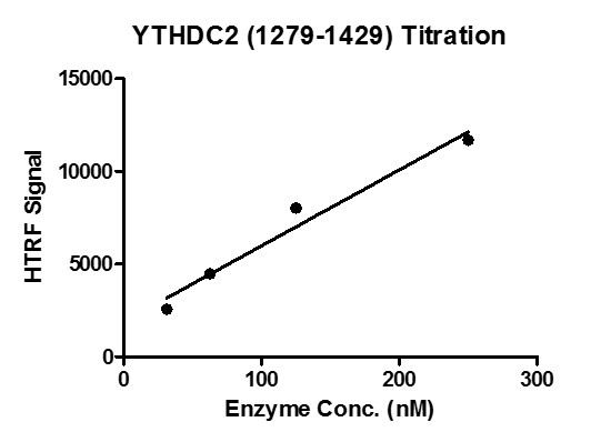 HTRF for YTHDC2 (1279-1429) activity