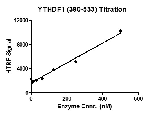 HTRF for YTHDF1 (380-533) activity