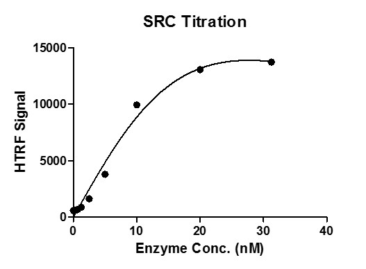 HTRF assay for SRC protein activity