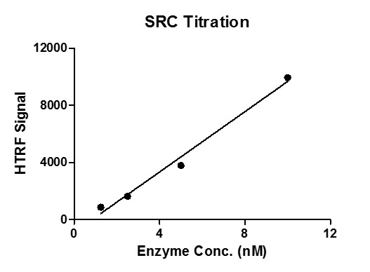 HTRF assay for SRC protein activity