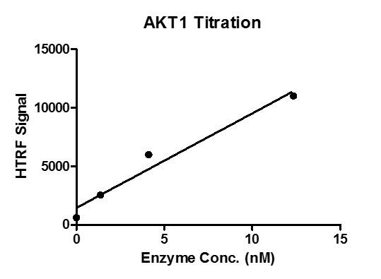 HTRF assay for recombinant AKT1 protein activity