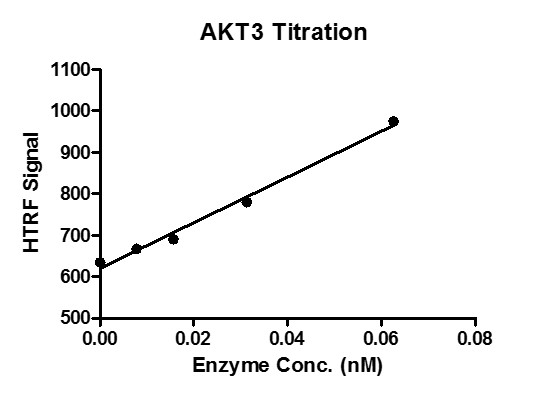 HTRF assay for recombinant AKT3 protein activity