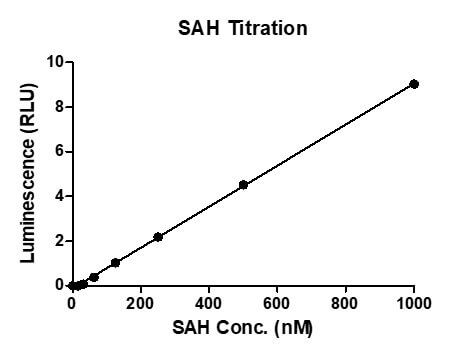 MTase-Glo Assay for Recombinant SETD3 protein methyltransferase activity