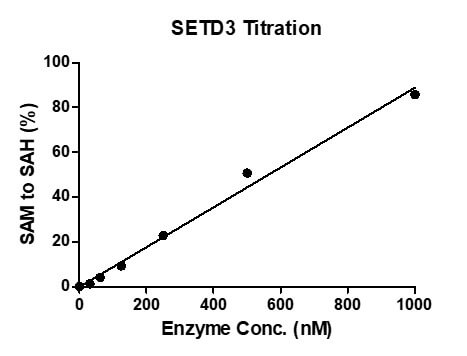 MTase-Glo Assay for Recombinant SETD3 protein methyltransferase activity