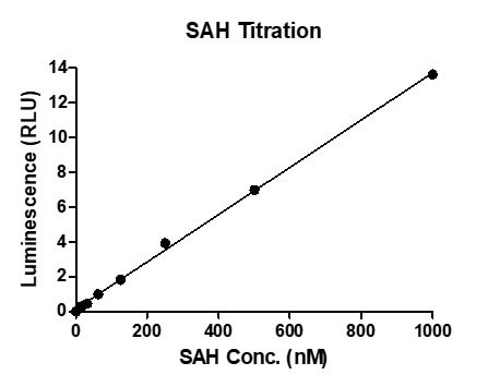 MTase-Glo Assay for Recombinant SETD6 protein methyltransferase activity