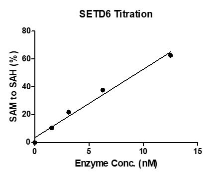 MTase-Glo Assay for Recombinant SETD6 protein methyltransferase activity