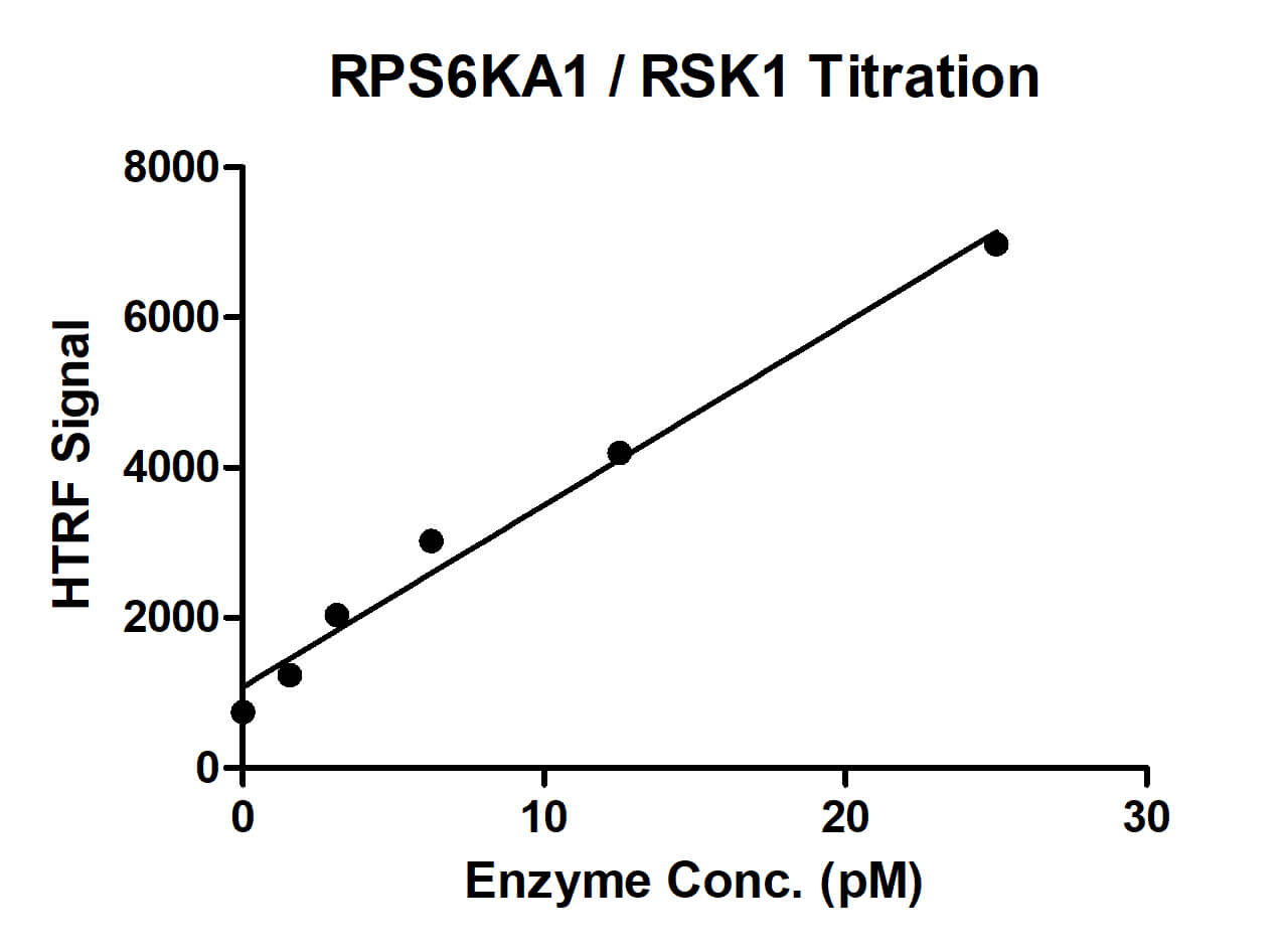 HTRF assay for RPS6KA1 / RSK1 activity