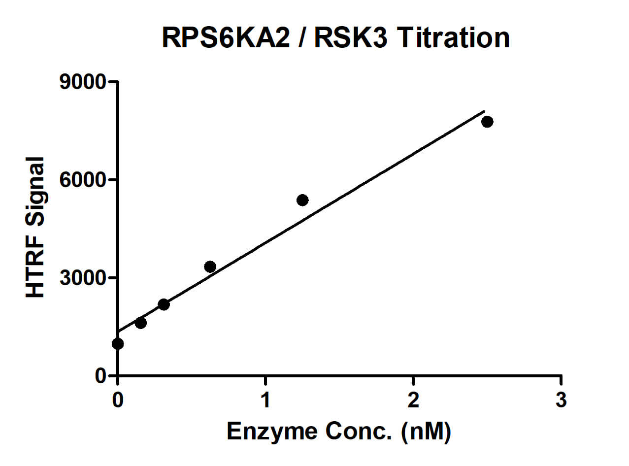 HTRF assay for RPS6KA2 / RSK3 protein activity
