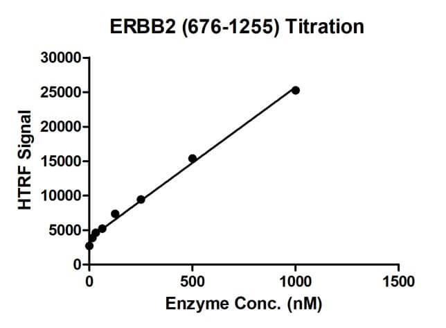 HTRF assay for ERBB2 (676-1255) activity