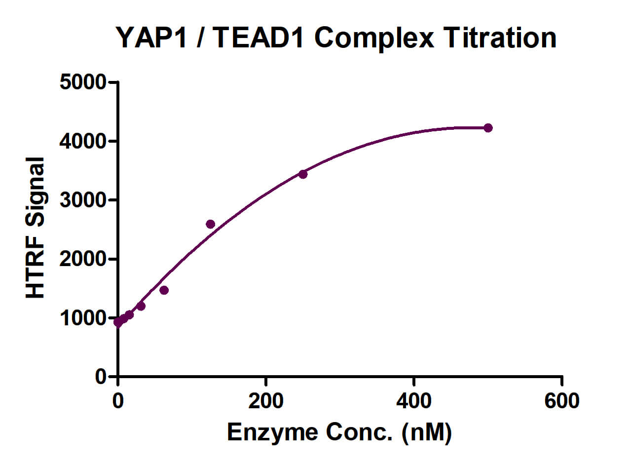 HTRF Assay for YAP1 / TEAD1 activity.